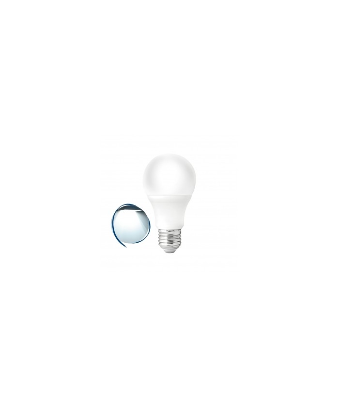 Lâmpada LED Bulbo A60 9W Bivolt - 6500K Branco Frio